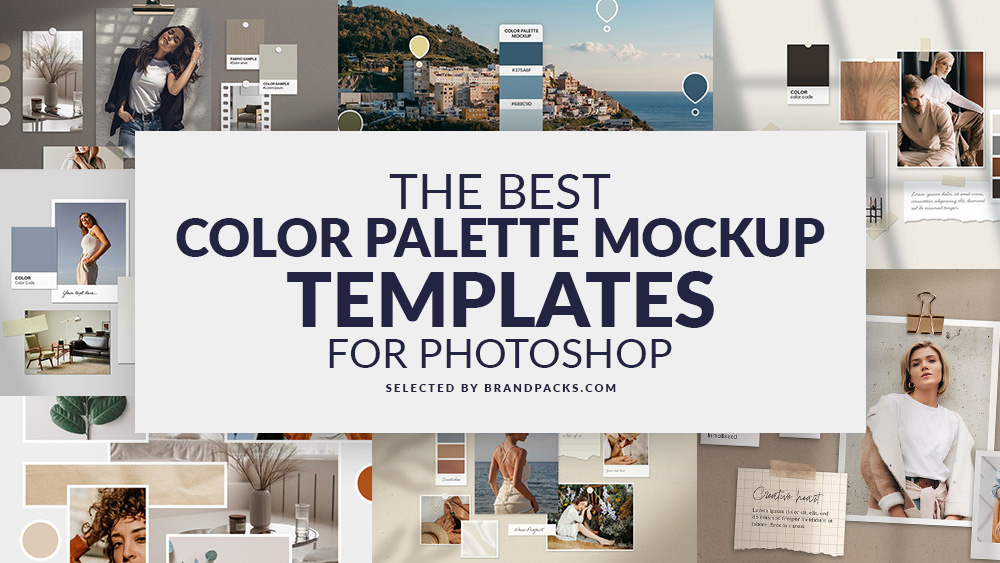 10+ Color Palette Mockup Templates for Photoshop