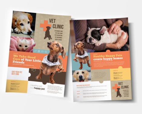 A4 Vet Clinic Poster / Advertisement Template