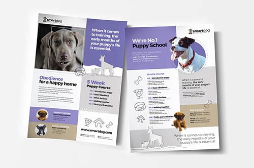 Animal & Pet Care Templates in PSD & Vector