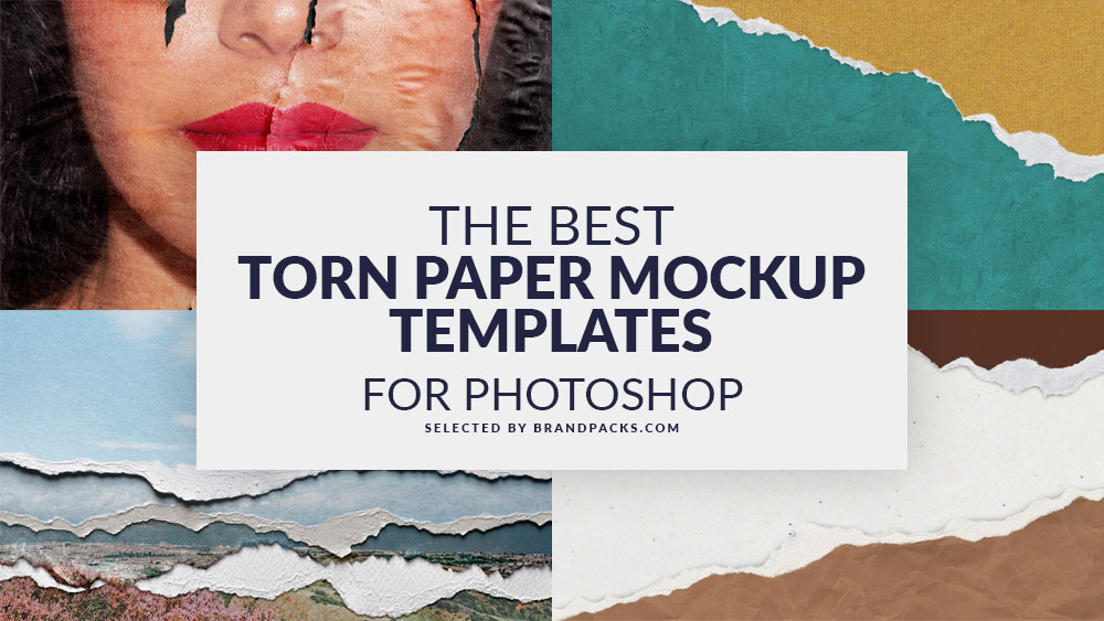 Best Torn Paper Mockup Templates