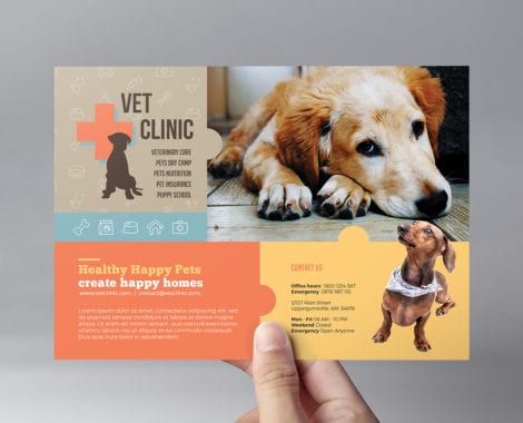 Vet Clinic Flyer Template